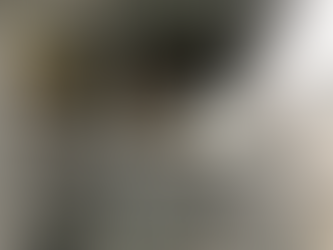 «Zivilgesellschaft in Asyl-Bundeszentren»