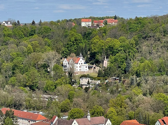 Blick von der Ferne auf die Huttenburg umringt vom Wald