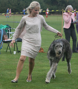 Nellwyn's Miss Pollyanna