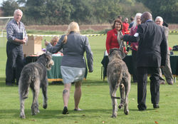 Whiteorchard Venusta & Sade Tyrion