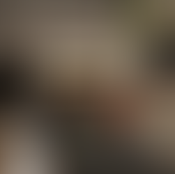 As belezas do Jalapão | A nova cor de 2024