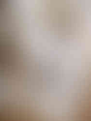 Móveis Orgânicos | Foto by Casa Vogue