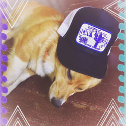 New! Black Hats $25+ Shipping