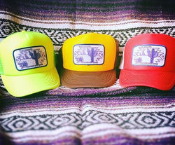 Assorted Hats $25+Shipping