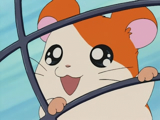 hamtaro spin lq.gif