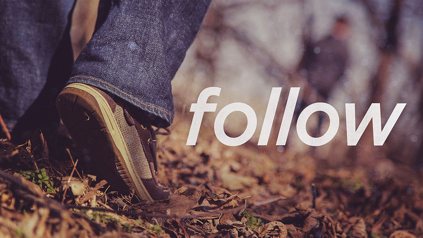 Follow-art