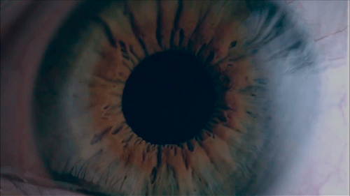 tumblr_nwjg1nc0Kd1r0lymro1_500.gif