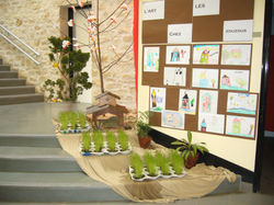 Hall Printemps