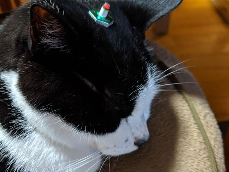 お灸が好きです