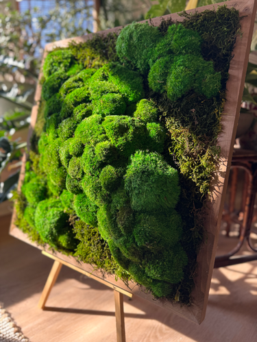 24x 24 inch | Woodsolstone Studio