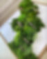 7C4A8776-9206-4F79-9093-072F016E3141.jpeg