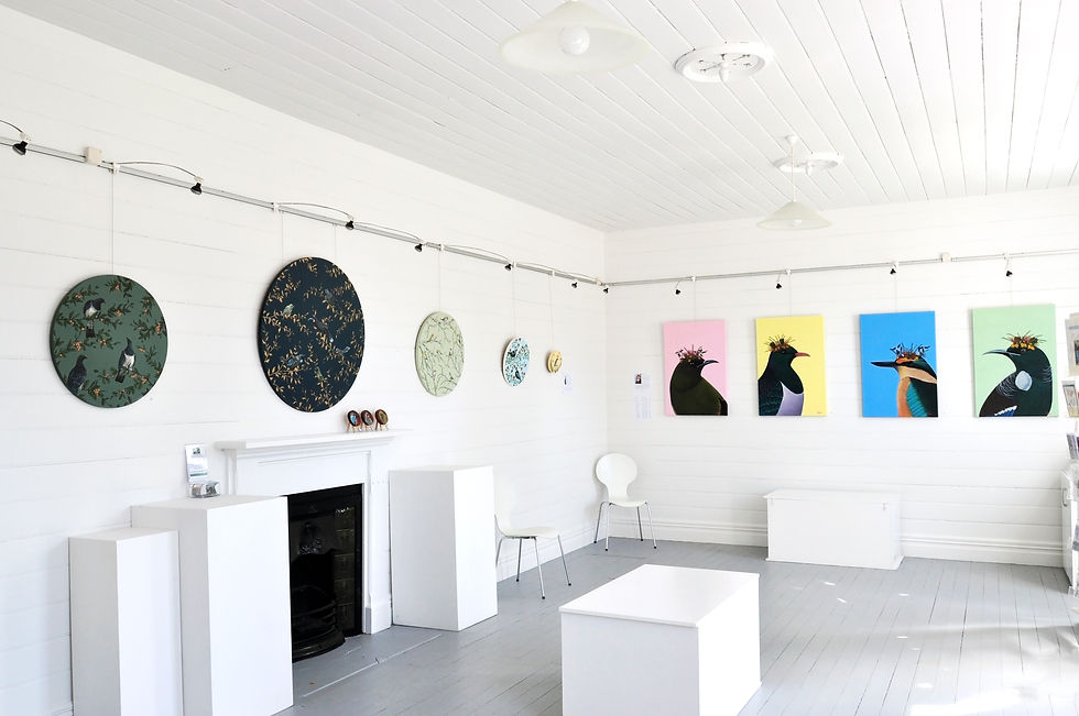 Unveiling the 'Wild and Whimsical': An Inside Look at the Exhibition