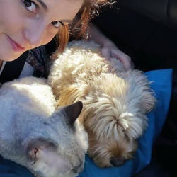 charlie and bluebell