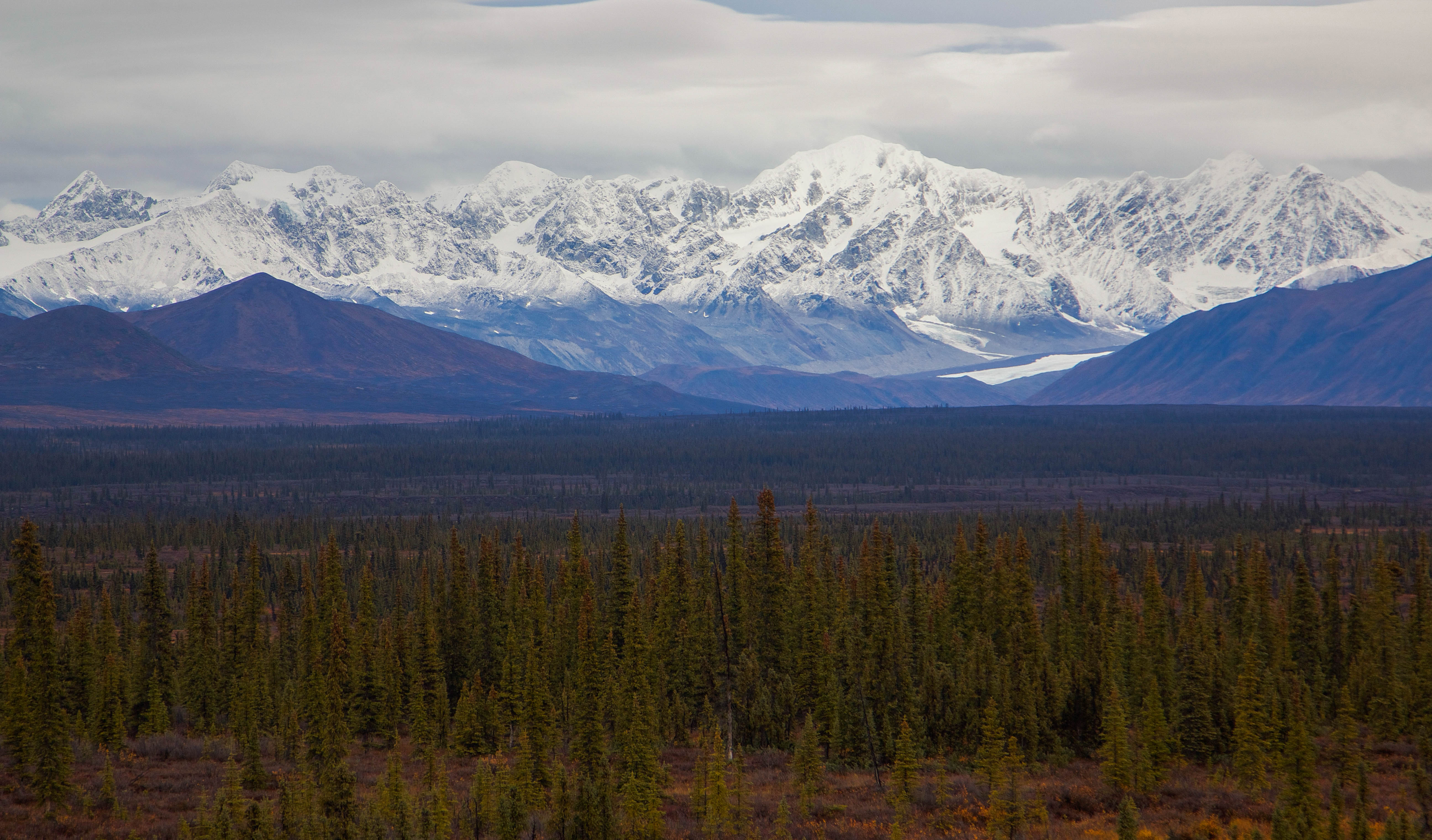 Denali