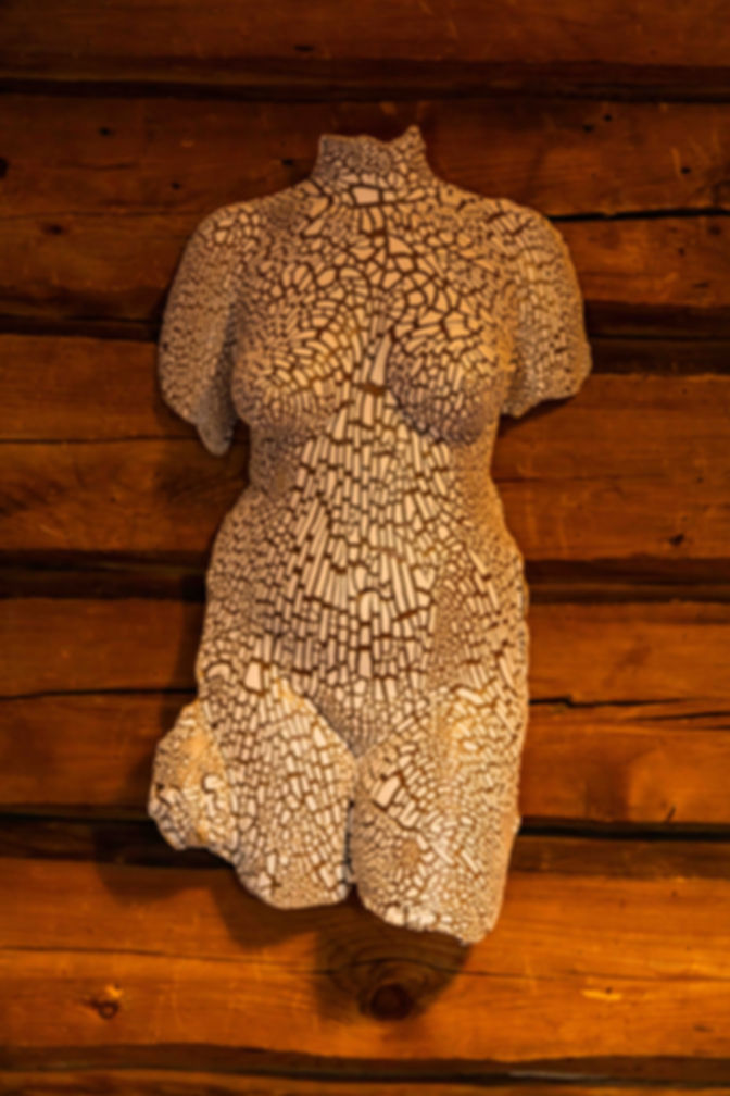 Torso front