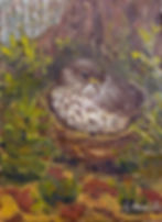 Fledgling Thrush