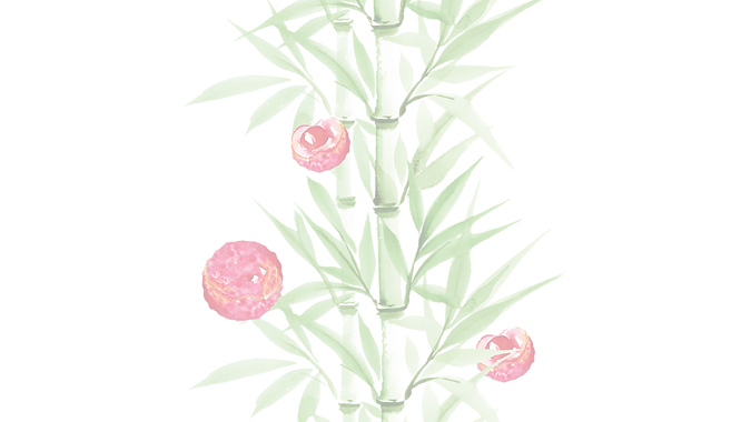 bamboo brand graphic 2