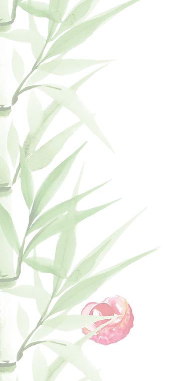 bamboo brand graphic 2_edited.png