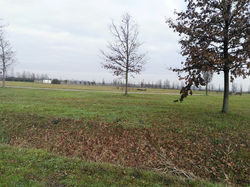 Parco San Giuliano