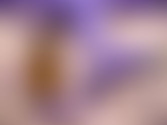 L'olio essenziale di Lavanda Angustifolia