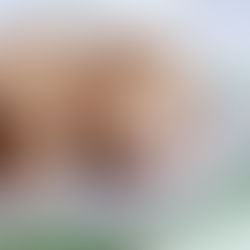 Equilibrio "io-altri": BACI DI DAMA