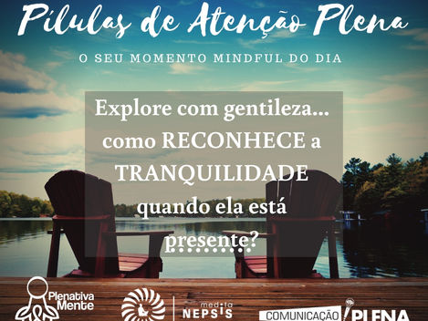 Como reconhecer a tranquilidade quando ela está presente