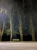 IMG_6588.jpeg
