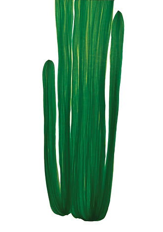 Sans titre (d'après le jardin de Marjorelle) #12, 2024-25, série 50X65 cm. Marqueur sur papier bristol.jpg