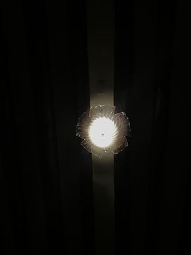 IMG_5583.jpeg