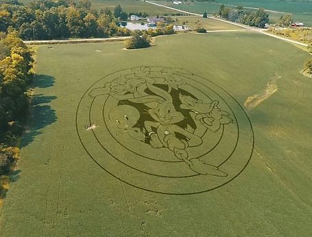 Looney tunes crop circle.jpg