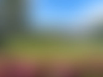 Découvrez l'institut Bodysculpt Minceur à Nîmes pour votre bien-être