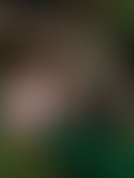 Fantasio à Poterne des Peupliers