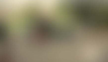 La beauté de l'humanité à Villepinte