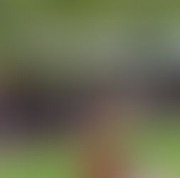 Fantastique Fantasio