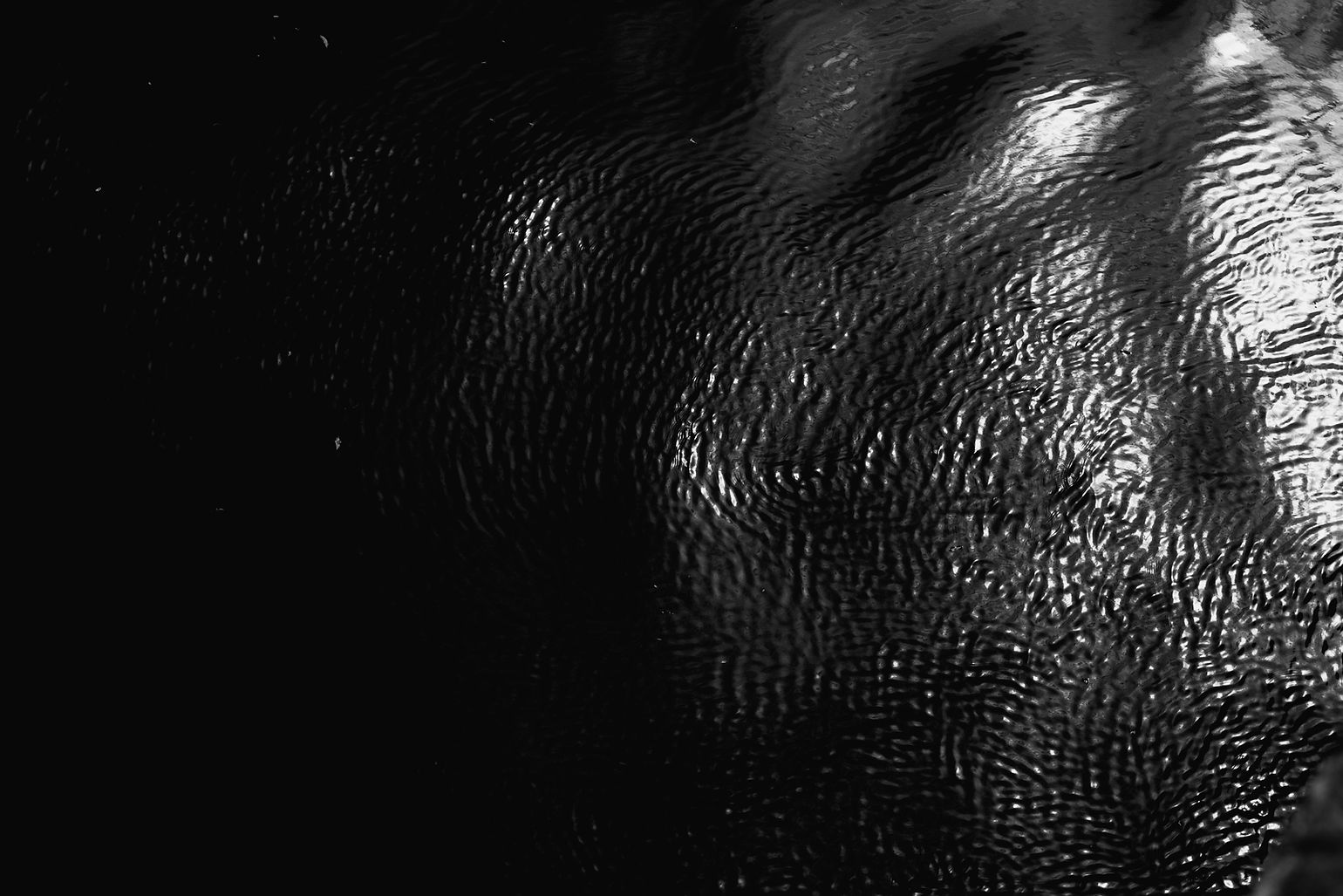 pexels-plato-terentev-3804555-9962760.jpg