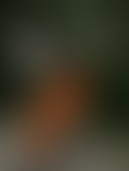 Woman in orange using a laptop outdoors representing choosing yourself in the morning before starting the day.