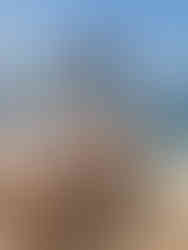 From Vision Board to Reality