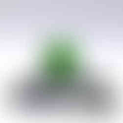 “Green GRIDMOOD mug stacked on top of Grid Society books The Gridchangers, Grid Reflections, and Base Zero, displayed on a clean white background.”