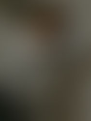 Woman journaling as part of a structured morning routine using the Grid Society Morning Reset