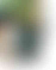 Grid Society book resting on beachwear in Barbados, captured as part of a customer’s reset-focused holiday reading list.