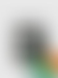 Reflecting on the Journey: We Delivered the Confront the Grey Voices Workshop 15 Times Between Oct and Dec 2024