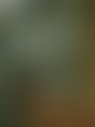 Woman sitting by a window looking at her phone, reflecting on putting others before yourself and feeling emotionally distant.