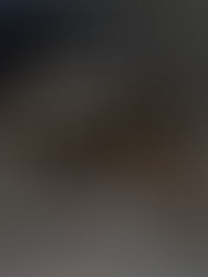 Grid Society Morning Reset overview explaining how the online reset system helps you start the day with clarity, focus, and intention