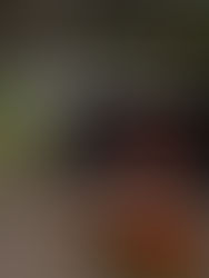 Vision Quest Experience workspace with strategic vision workbook, pens, and laptop showing the Vision Quest online workshop, focused on goals and direction for the year ahead.