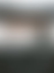 Due to Popular Demand: New Date for Our Online Workshop "Confront the Grey Voices" – December 8th!