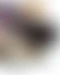 Workshop booklet for the Women in Educational Leadership Summit 2025 showing the official WELN UAE branding and event theme.