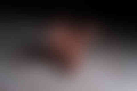 DSCF3087