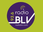 logo BLV.JPG