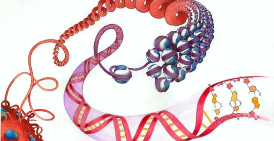 Modificações epigenéticas e hábitos saudáveis