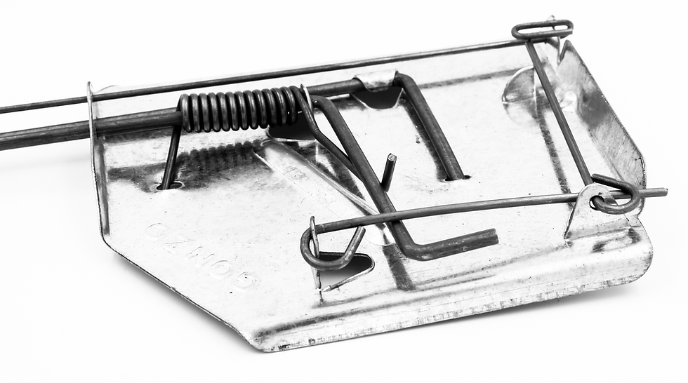 Thumbnail: GONZO® 5005 SUREFIRE® MOLE & GOPHER TRAPS - TWIN PACK